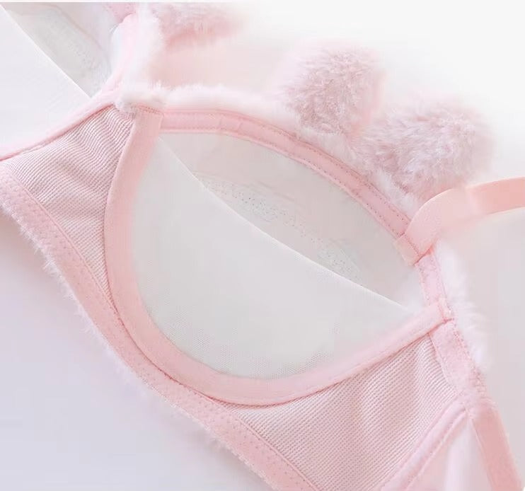 New High Quality Sexy Cute Anime Soft Plush Design bra underwear Japanese cartoon rabbit underwear Bra & Panty Set 581