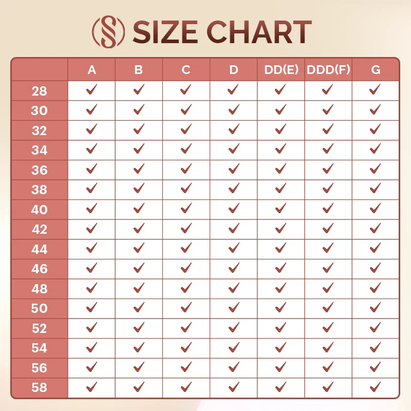 PACK OF 3 - | Daily Comfort Seamless Lifting Bra