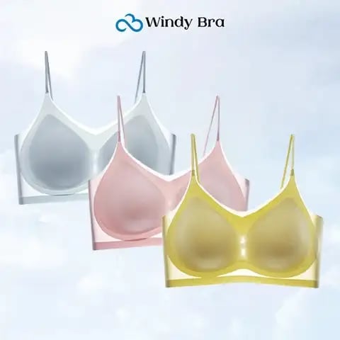 Pack of 3 - WindyBra - Summer seamless ultra-thin plus size ice silk comfort bra